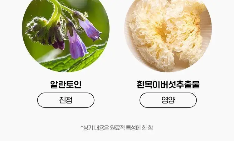 [코어탄력크림] 아이소이 인텐시브 에너자이징 크림EX 30ml 상세페이지 12